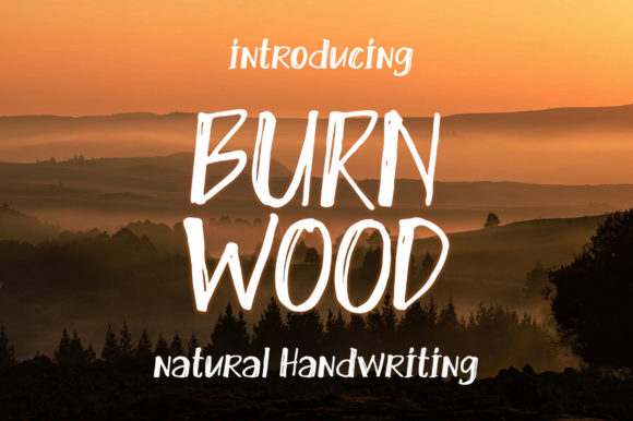 Burn Wood Font: A Quirky Display Typeface for Campaigns
