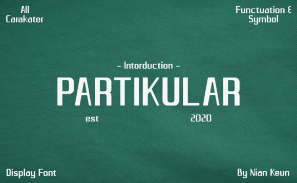 Partikular Font: A Minimal Display Typeface for Editorial Design